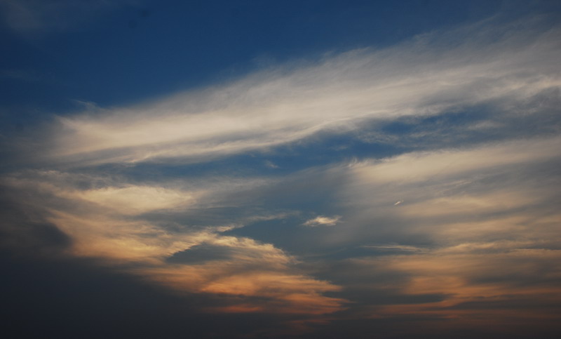 dsc_0162.jpg