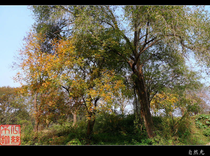 l1160159.jpg