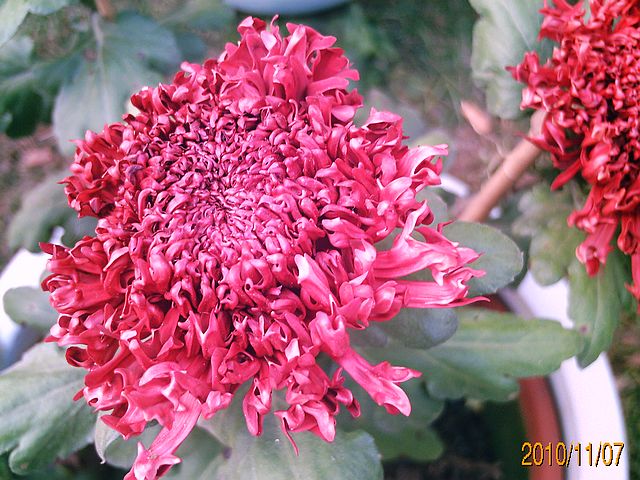 pict1701.jpg