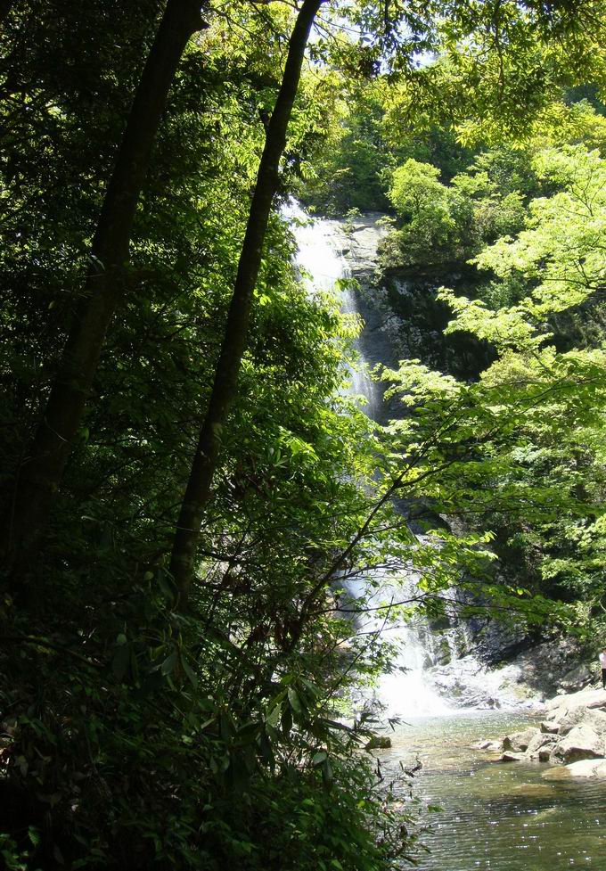 С dsc00803.jpg