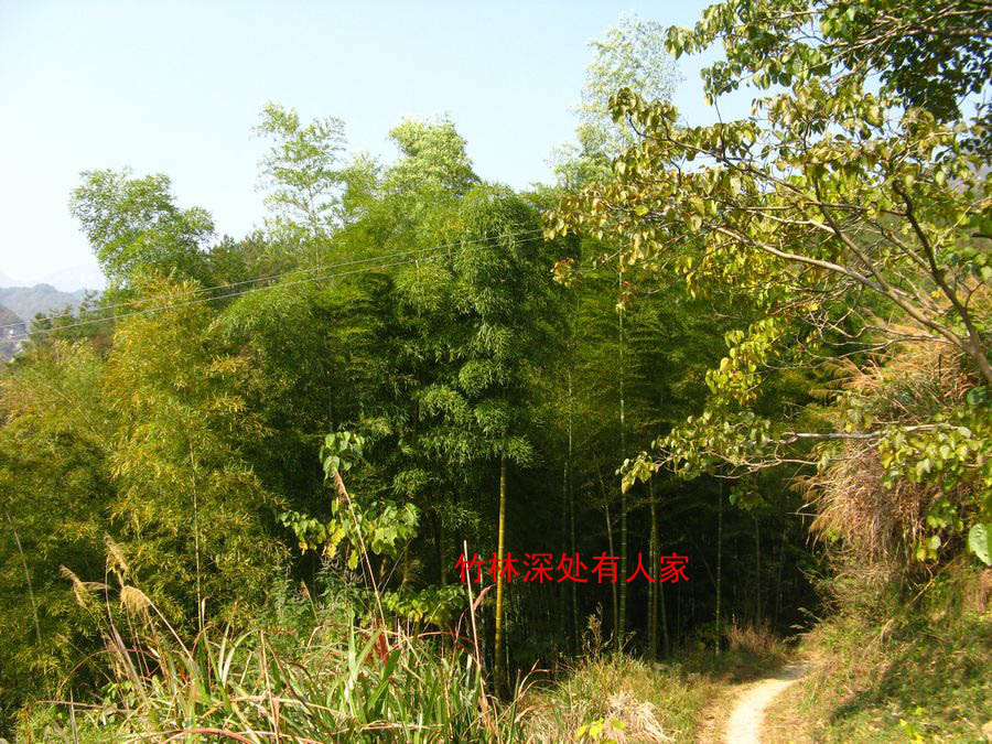 dvubb 按此在新窗口浏览图片