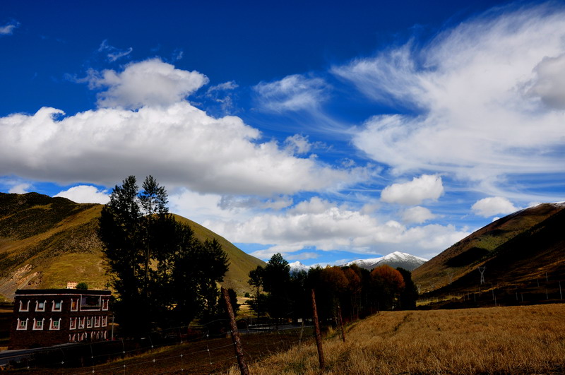 dsc_0980׸.jpg
