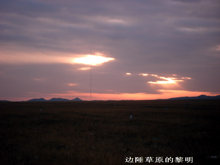 dsc07967c1.jpg