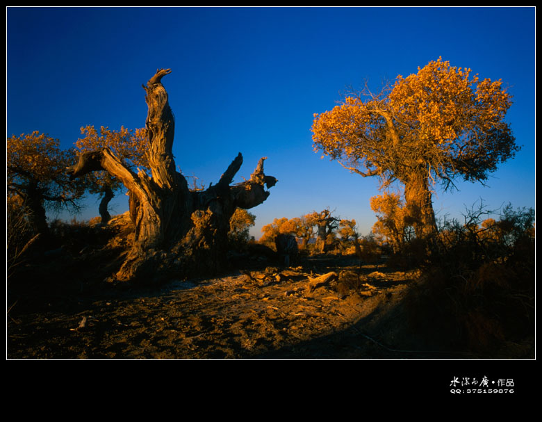 scan-101017-0012.jpg
