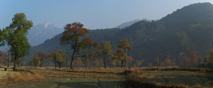 20101106eʥ (14).jpg