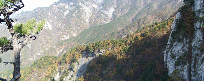 20101107fկ-˷ (30).jpg