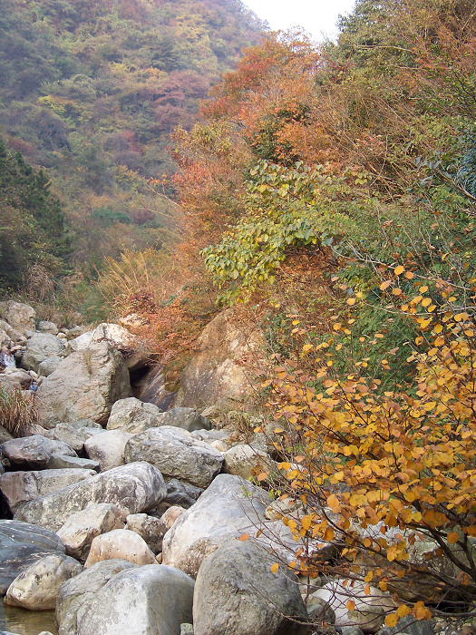 20101106gկ乵- (66).jpg