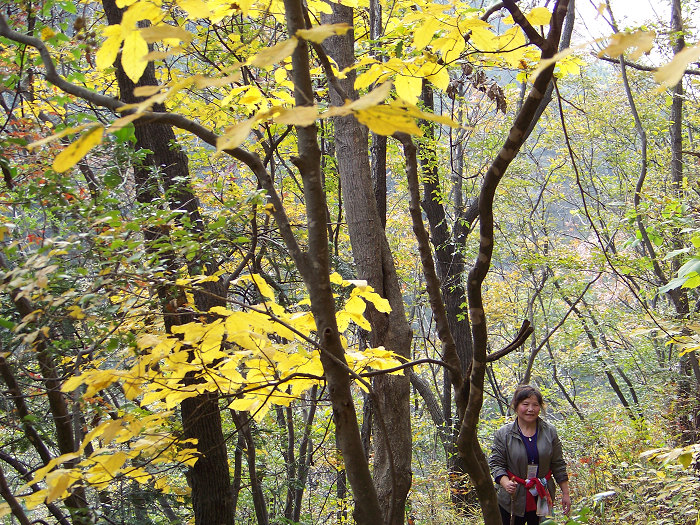 20101106gկ乵- (43).jpg