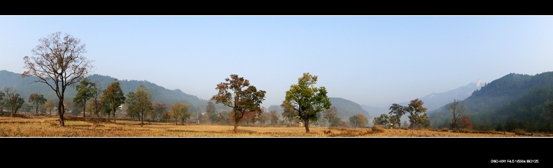 dsc07008.jpg