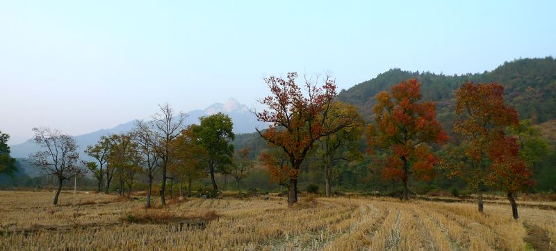 p1000906.jpg