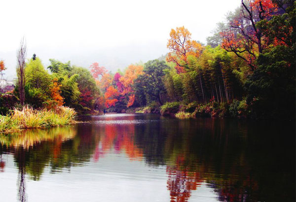 2010091014571597477.jpg