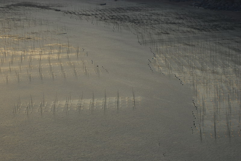 dsc_0509.jpg
