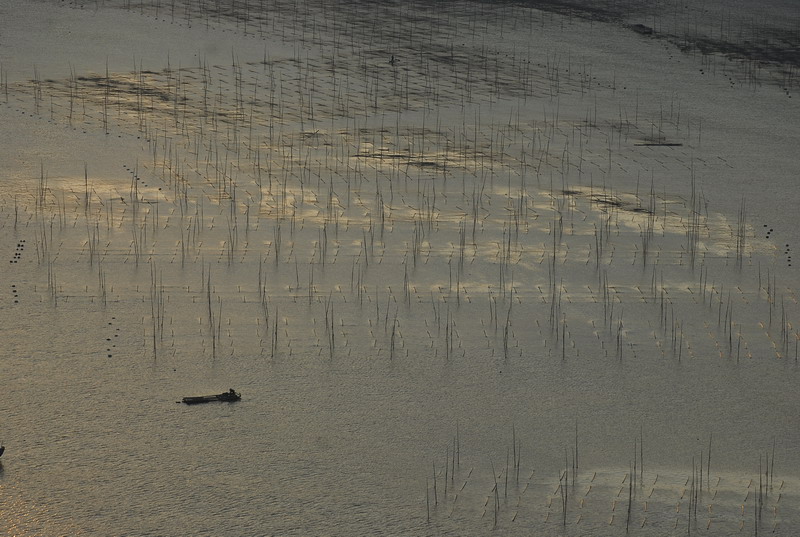 dsc_0496.jpg