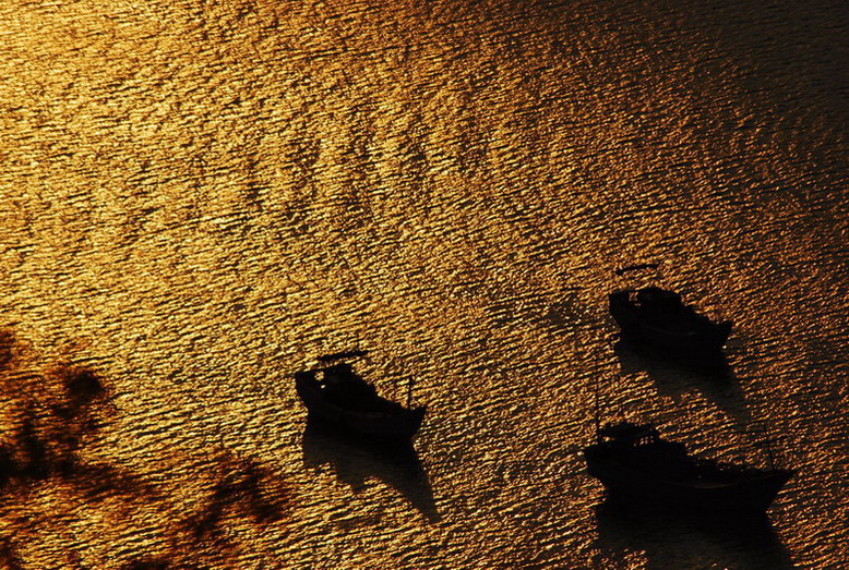 dsc_0498.jpg