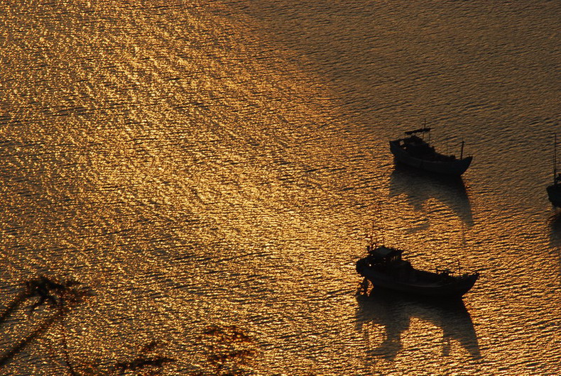 dsc_0505.jpg