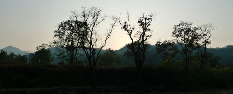 p1000893.jpg