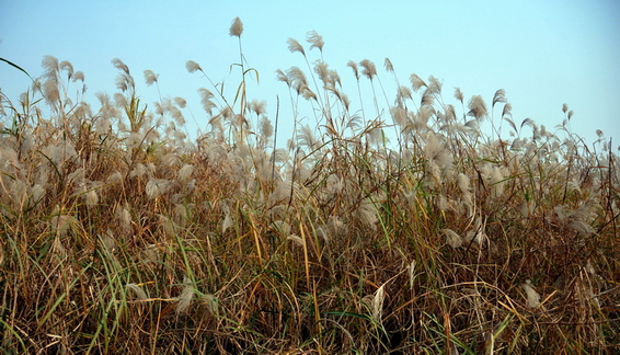 Ƭ 003.jpg