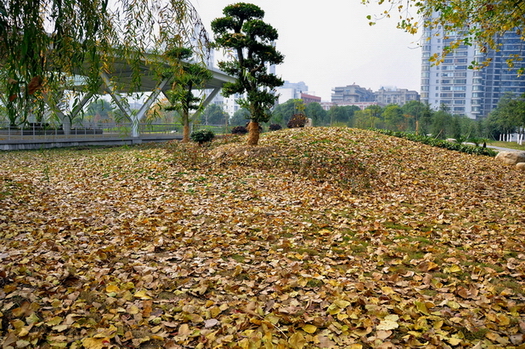 Ƭ 025.jpg