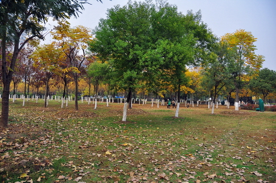 Ƭ 026.jpg