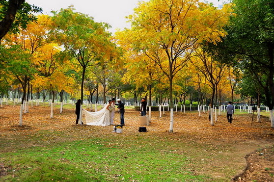 Ƭ 027.jpg