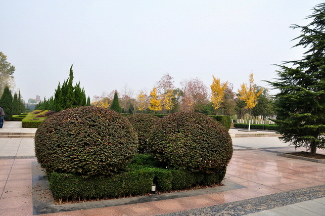 Ƭ 032.jpg