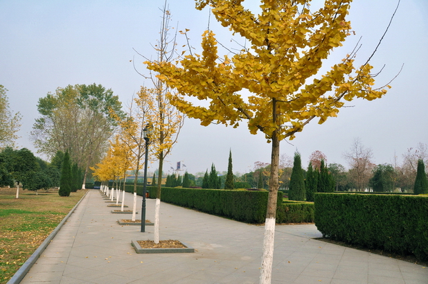Ƭ 039.jpg