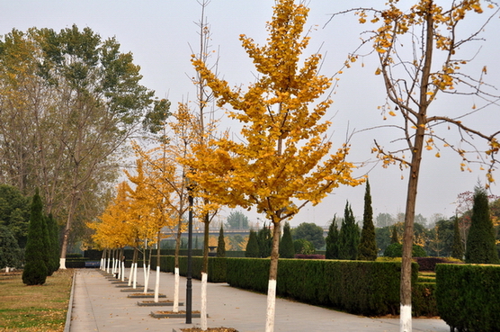 Ƭ 041.jpg