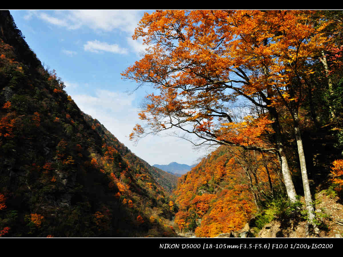dsc_0381.jpg