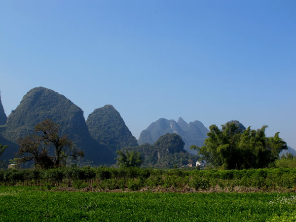 yuen 827.jpg