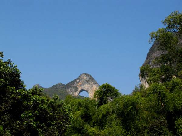 yuen 901.jpg