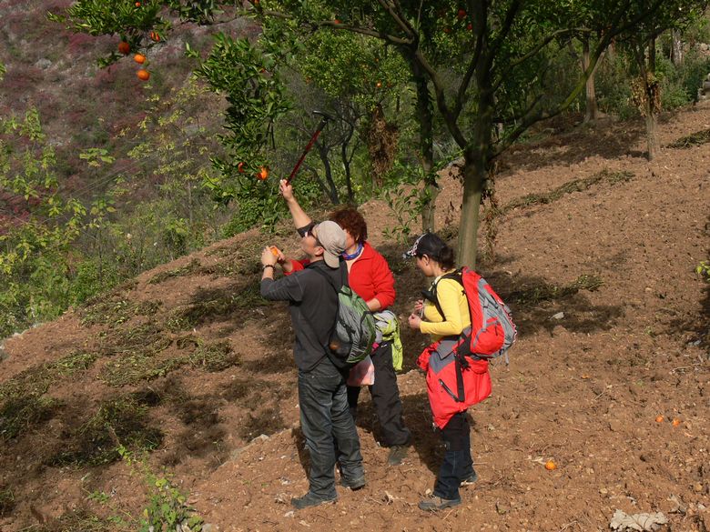 p1130024.jpg