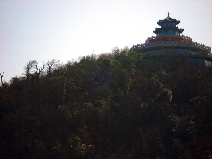 dsc00111___b.jpg