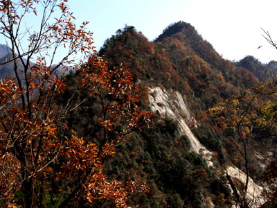 Ƭ 022-2.jpg