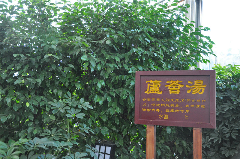 dsc_0472_.jpg