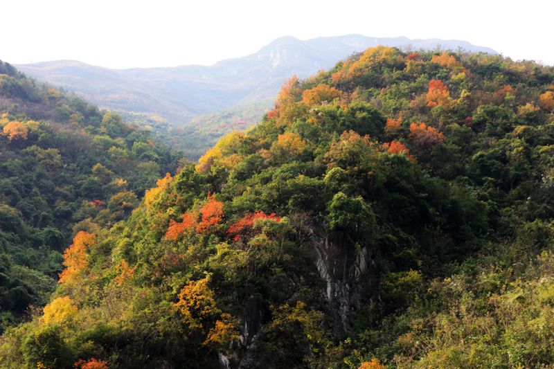 ˲졢ʩ 058.jpg