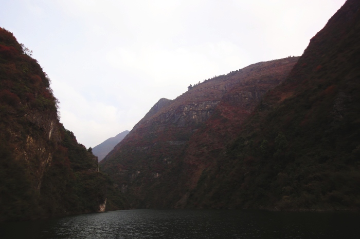dsc03524.jpg