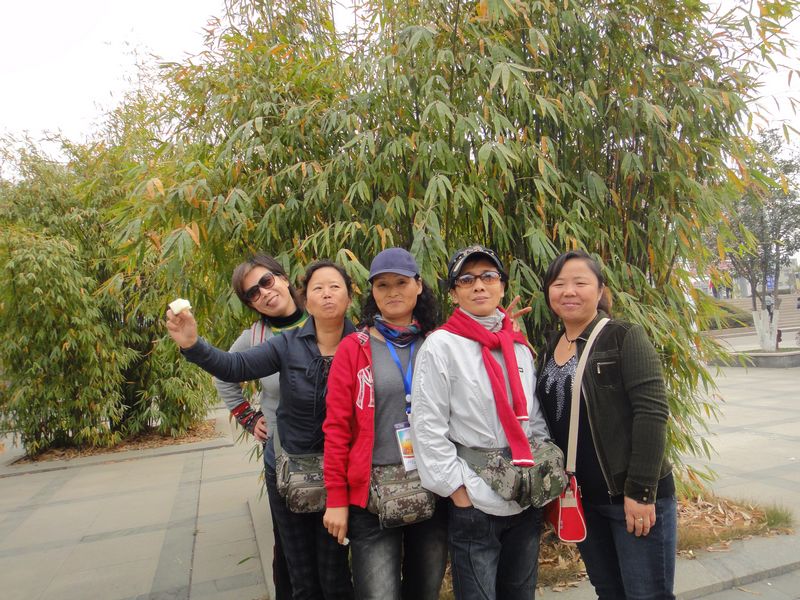 dsc00880.jpg