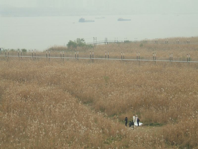 dscf3664.jpg