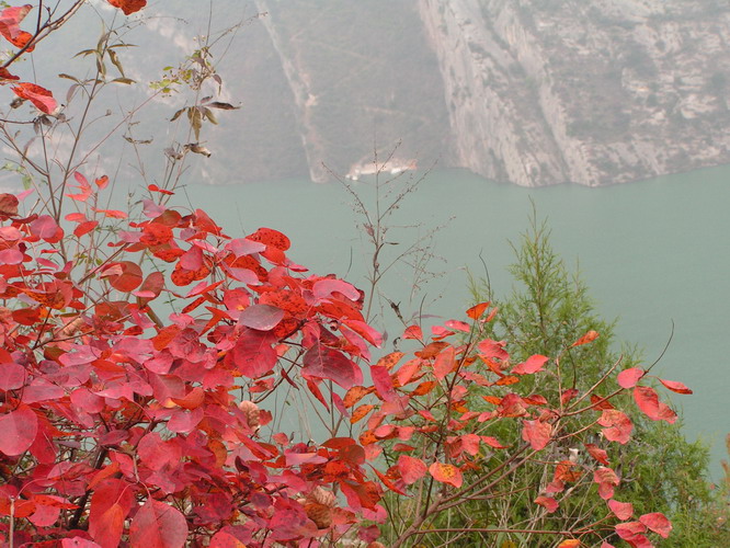 pict0142_С.jpg