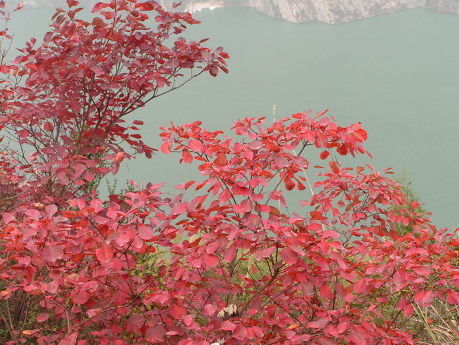 pict0153_С.jpg