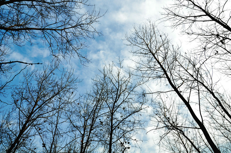 dsc_0298.jpg