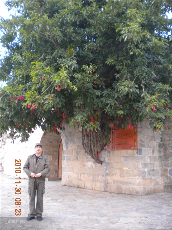 01.jpg