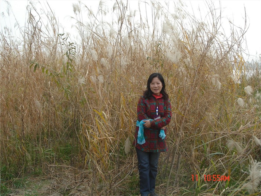 dsc00067_.jpg