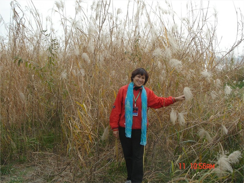 dsc00069_.jpg