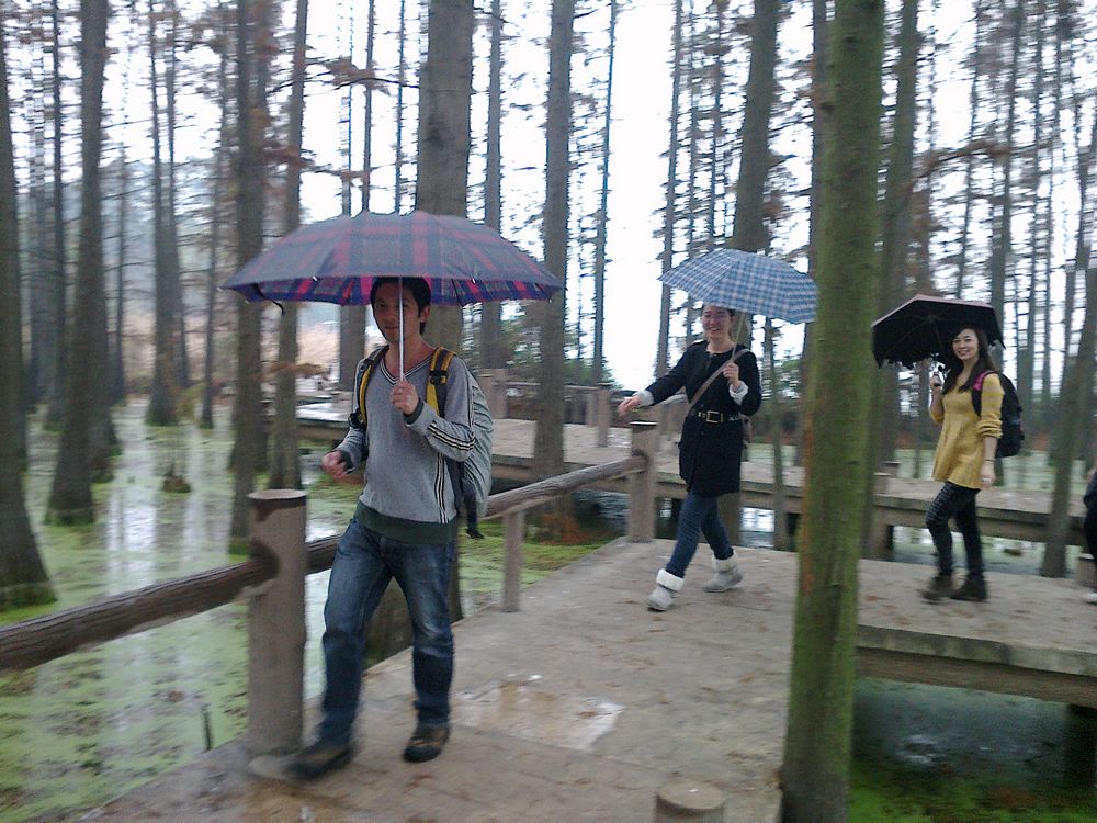 20101212081.jpg