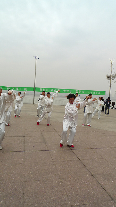 p1080528.jpg