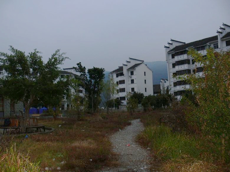 p1130056.jpg