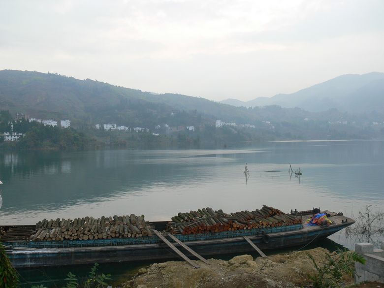 p1130062.jpg
