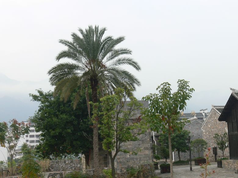 p1130065.jpg