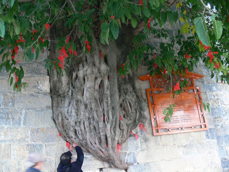 p1130070.jpg
